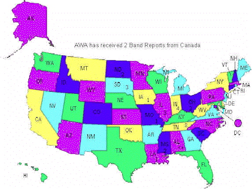 awabands.gif (44485 bytes)
