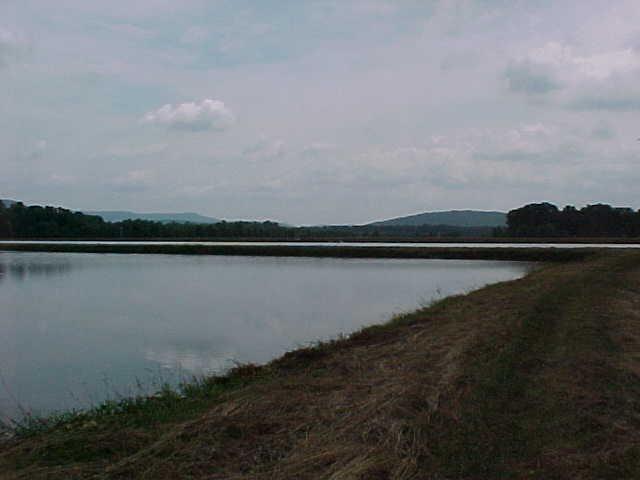 edhwma3.jpg (34081 bytes)