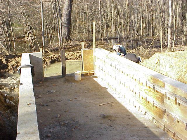 structure.jpg (92473 bytes)
